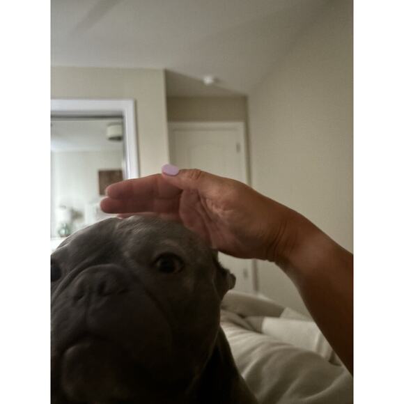 Psycho Bunny Men's Neon Red Orange Wavy Print Foley Graphic Swim Trunks XXXL - Picture 11 of 11